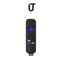 user installing roku express hd on a living room TV setup